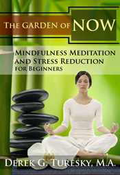 Mindfullness Meditation DVD Cover